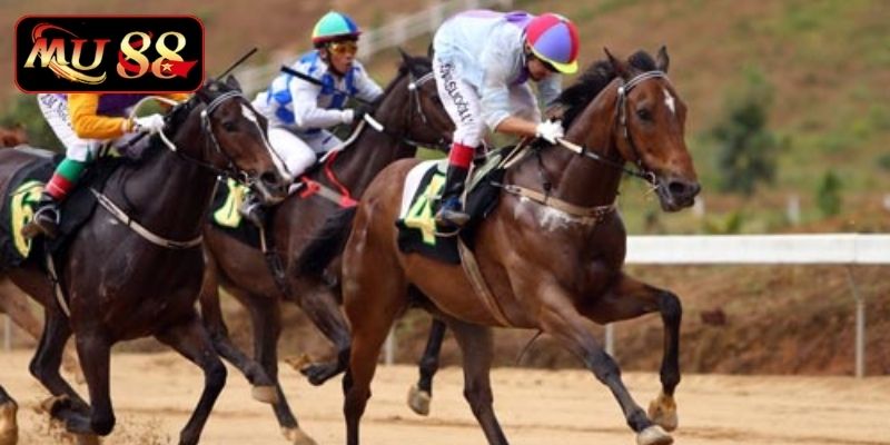 Cá Cược Đua Ngựa Nhà Cái MU88 - Trò Giải Trí Thú Vị