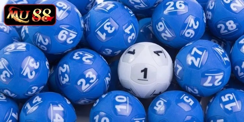 Soi cầu lô rơi liên tục hiệu quả, bí kíp vàng cho bet thủ