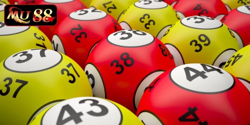 Tất tần tật về dàn đề 3 càng miền Bắc