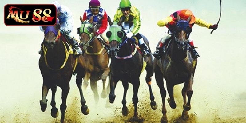 Tham khảo nhận định khi cá cược đua ngựa